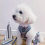 Shipwrecked Nautical Dog Harness, thumbnail 3 of 11