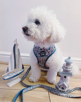 Shipwrecked Nautical Dog Harness, 3 of 11