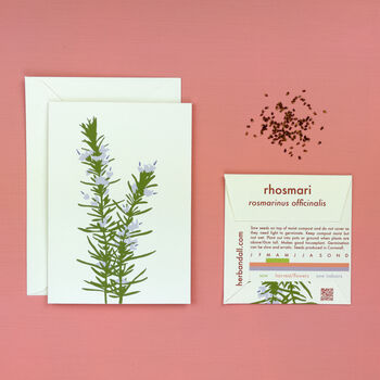 Ysbwynwydd Welsh Herbs Rosemary Card With Seeds, 3 of 6
