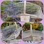 Lavender And Flower Drying Rack, thumbnail 9 of 9