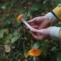 Winter Foraging Walk For One In The South Downs, thumbnail 12 of 12