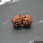 Nepali Gauri Shankar Rudraksha Beads, thumbnail 9 of 9