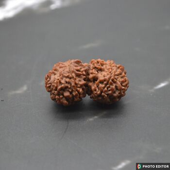Nepali Gauri Shankar Rudraksha Beads, 9 of 9