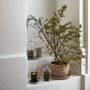 Meraki Fig And Apricot Scented Candle, thumbnail 6 of 7