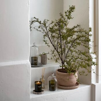 Meraki Fig And Apricot Scented Candle, 6 of 7