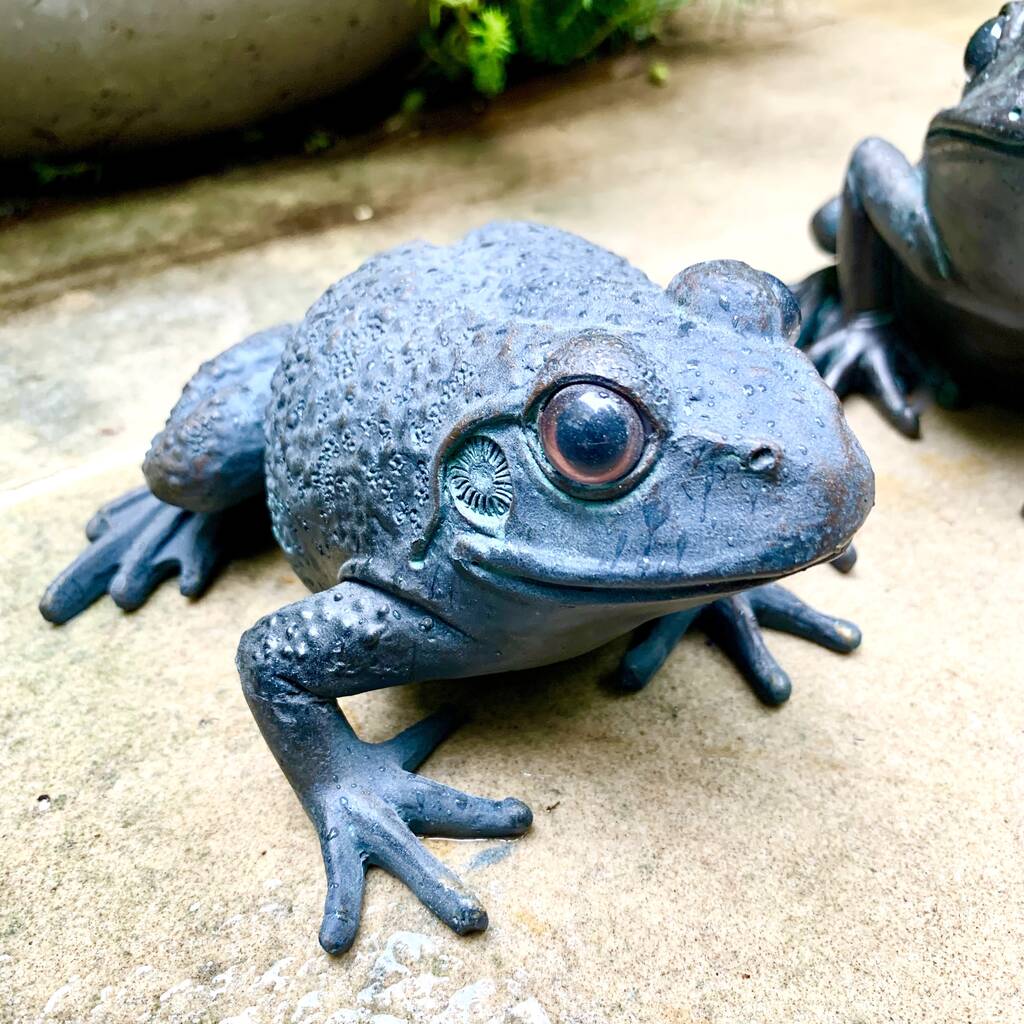 Pair Of Frog Garden Sculptures By London Garden Trading