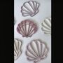 Set Of Six Seashell Shapes For Wall Decor, thumbnail 4 of 9
