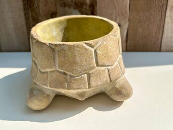 22cm Turtle Plant Pot Distressed Beige Stone Flower Holder Planter, 6 of 7