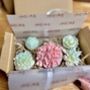 Wax Melt Flower Box Birthday Special Occasion, thumbnail 8 of 8