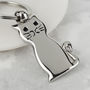 Personalised Cat Keyring With Engraved Charm, thumbnail 4 of 6