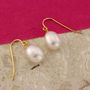 Tear Drop Pearl Earrings With Gold Fill Hooks, thumbnail 1 of 3