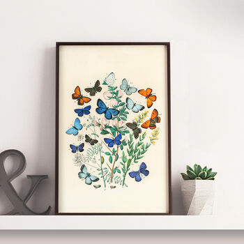 Vintage Butterfly Print, 2 of 3