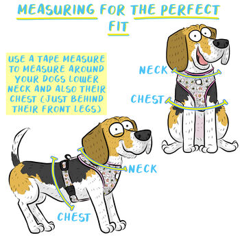 Orange Cartoon Adjustable Dog Harness, 12 of 12