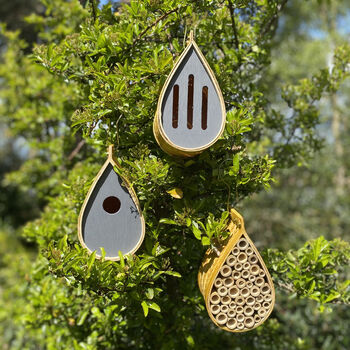Bird, Butterfly And Insect Habitat Nest Box Gift Set, 7 of 8