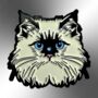 Ragdoll Grumpy Long Haired Cat Enamel Pin Badge, thumbnail 4 of 9