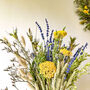 Achillea Lavender Bouquet With Oats 'Lilizu', thumbnail 3 of 7