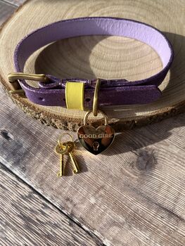 Engraved Pet Name Heart Padlock Dog Tag, 4 of 8