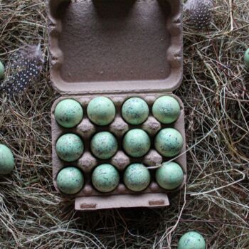 Box Of 60 Light Green Quails Eggs, 10 of 11