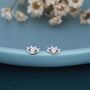 Sterling Silver Tiny Eye Stud Earrings, thumbnail 4 of 12