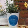 Blue Plaque Personalised Plant Pot Gift, thumbnail 1 of 4