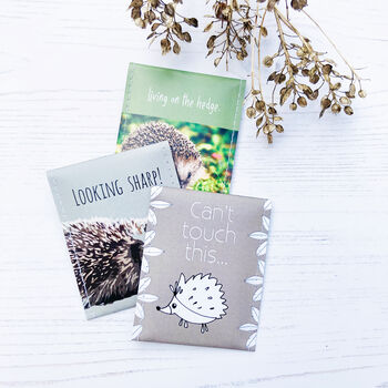 Hedgehog Gift Tea Set, 7 of 12