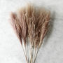 Dried Reed Grass Bouquet, thumbnail 1 of 2
