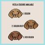 Hungarian Vizsla T Shirt, thumbnail 4 of 6