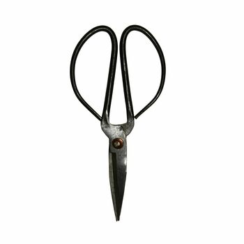 Cast Iron Utility Scissors, 2 of 2