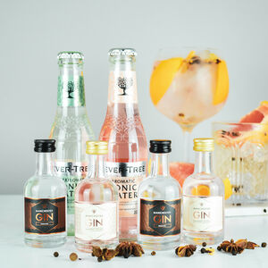 Make Your Own Gin And Tonic Set With Manchester Gin By Tipple Box