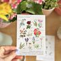 Birth And Language Of Flowers Combined Family Print, thumbnail 10 of 10