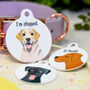 Labrador Personalised Dog ID Name Tag, thumbnail 1 of 12