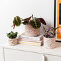 Rainbow Handmade Terrazzo Indoor Planter Medium, thumbnail 4 of 6