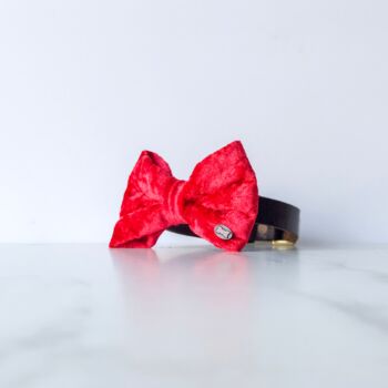 Party Luxe Velvet Dog Bow Ties, 8 of 12