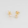 Fine 3mm Stud Earrings 14ct Solid Gold, thumbnail 4 of 4