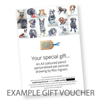 Hand Drawn Pencil Pet Portrait Drawing Or Gift Voucher, 12 of 12
