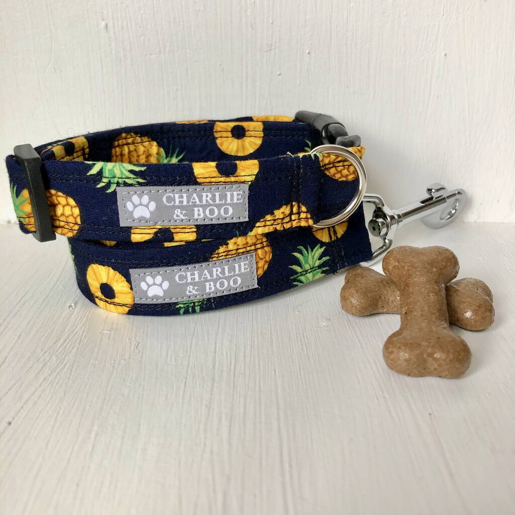 Pineapple Dog Collar And Lead By Charlie and Boo