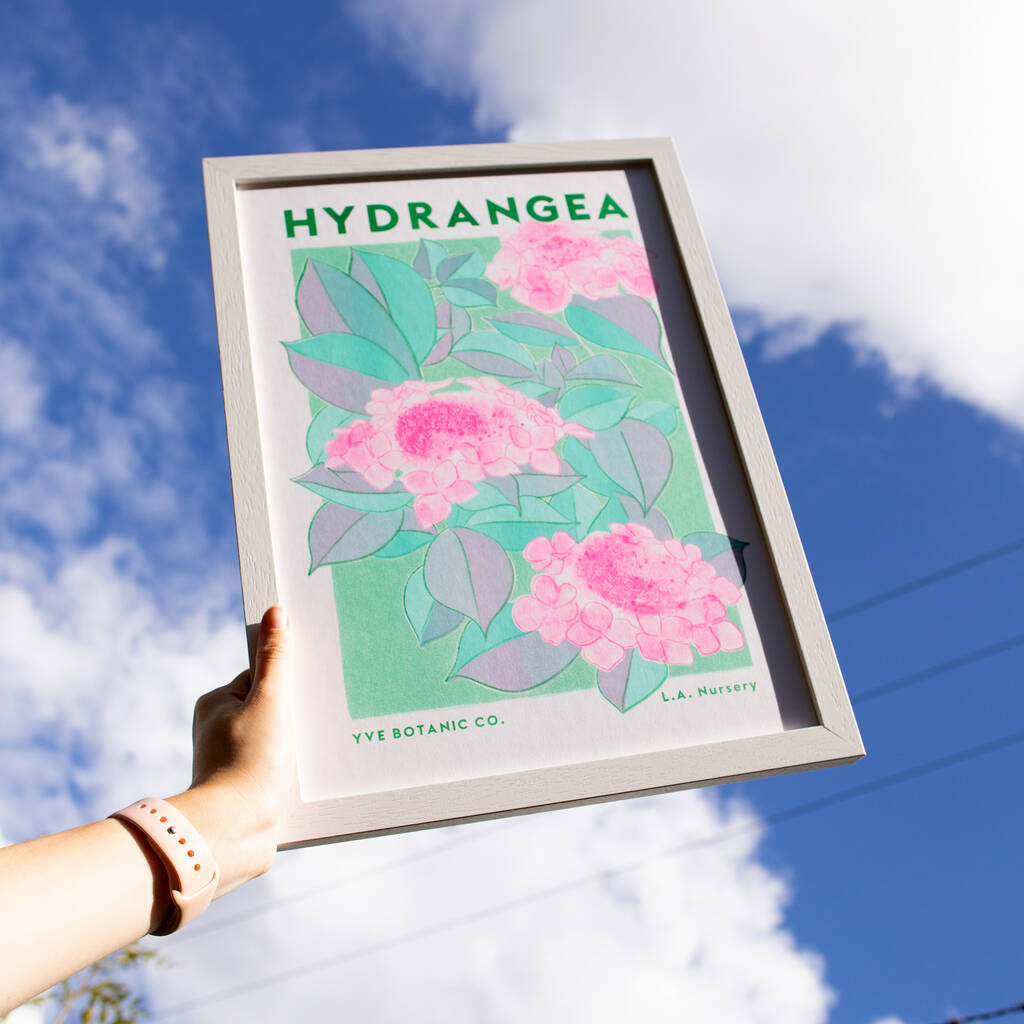 Hydrangea Floral Illustration Riso Print, 1 of 5