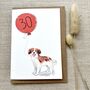 Personalised Kooikerhondje Dog Birthday Card, thumbnail 2 of 4