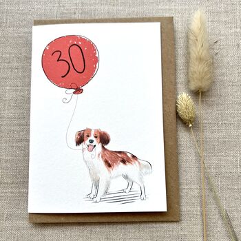Personalised Kooikerhondje Dog Birthday Card, 2 of 4