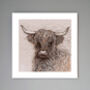 'Highland Cow' Print, thumbnail 1 of 3