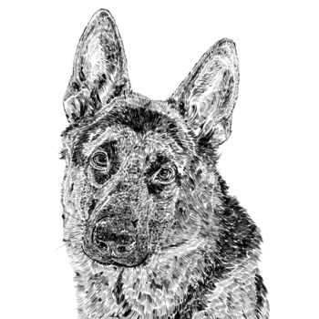 German Shepherd Dog Print By Ros Shiers | notonthehighstreet.com