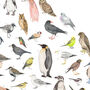 100 Birds A2 Print, thumbnail 3 of 5