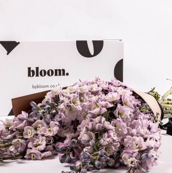 Lilac Delphinium Fresh Flower Bouquet, 2 of 3