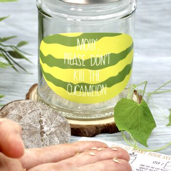 Personalised 'Don't Kill Me' Mini Melons Jar Grow Kit, 3 of 7