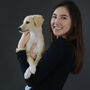 Studio Photoshoot With Your Dog In London, thumbnail 2 of 3