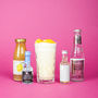 The Perfect Gin Fizz Cocktail Set, thumbnail 2 of 6