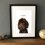 Personalised Pet Portrait Colour Illustration, thumbnail 5 of 12
