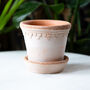 Terracotta Houseplant Pot And Watering Can Gift Set, thumbnail 3 of 3