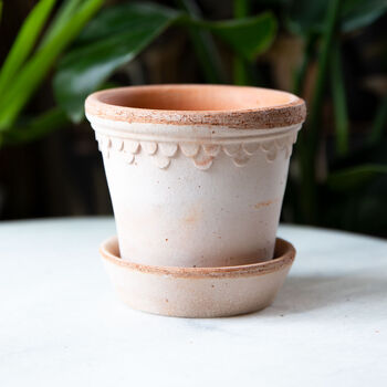 Terracotta Houseplant Pot And Watering Can Gift Set, 3 of 3