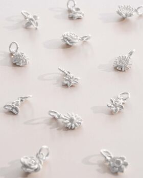 Add A Sterling Silver Birth Flower Pendant Charm, 3 of 9